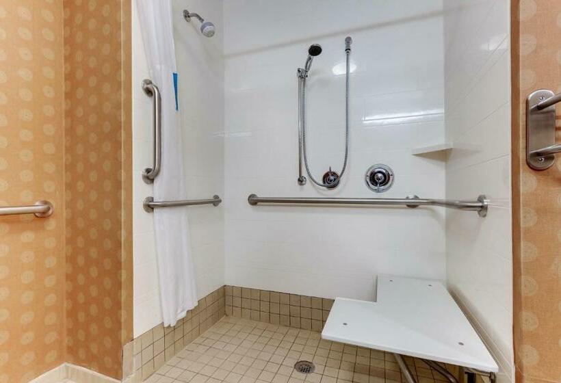 Номер Стандарт Кровать Кинг Адаптированный для Инвалидов, Hampton Inn & Suites Hartsville