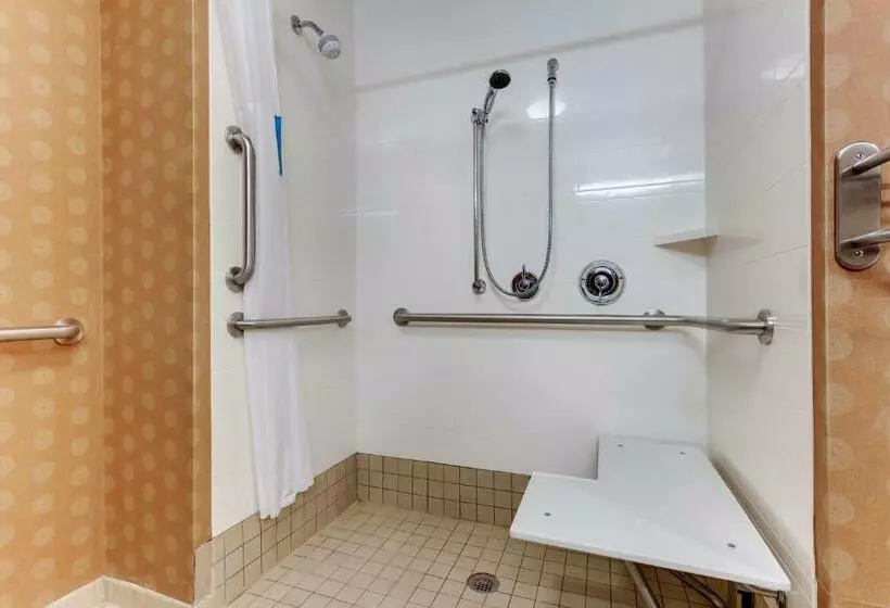 Standard-invahuone King-vuode, Hampton Inn & Suites Hartsville