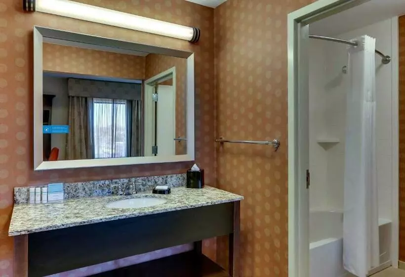 Standard-studio King-vuode, Hampton Inn & Suites Hartsville