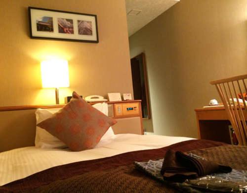 اتاق استاندارد یک نفره, Hikone Castle Resort & Spa