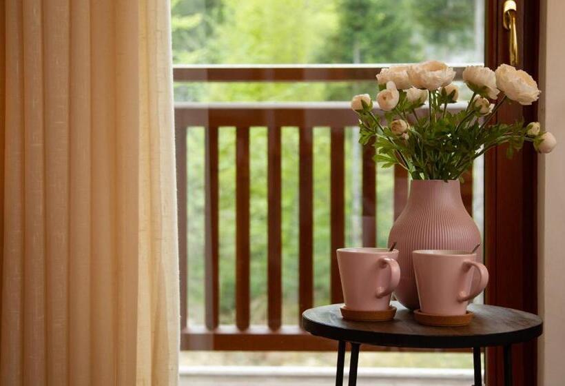 סוויטת ג'וניור עם מרפסת, Chalet Giasenei