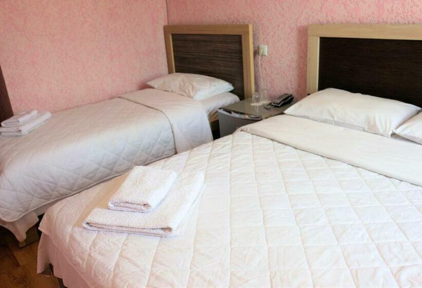 Economy Triple Room, Vakhtanguri