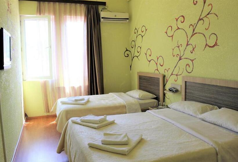 اتاق استاندارد سه نفره, Vakhtanguri