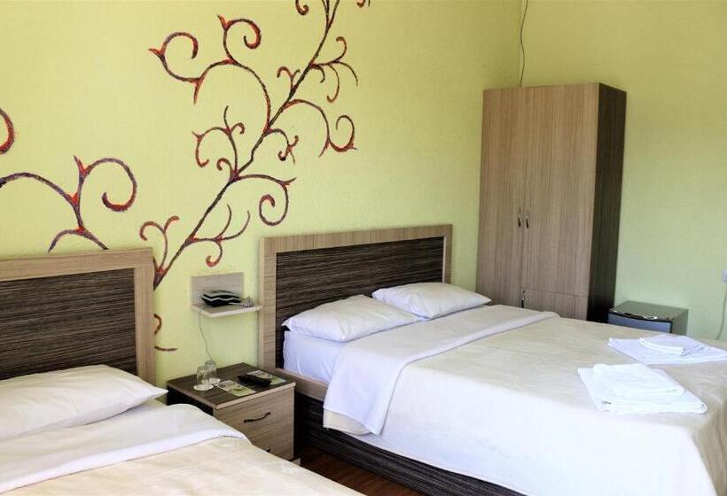 اتاق استاندارد سه نفره, Vakhtanguri