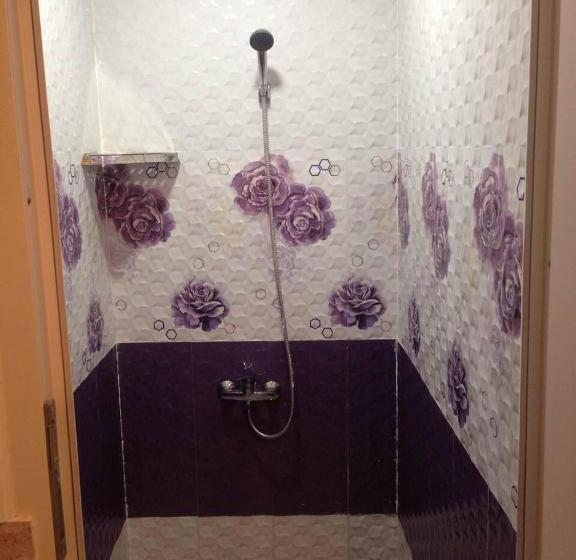 تختخواب در اتاق مشترک, Vakhtanguri