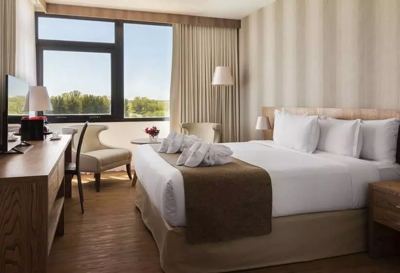 اتاق سوپریور, Salinas Del Almiron Resort Termal