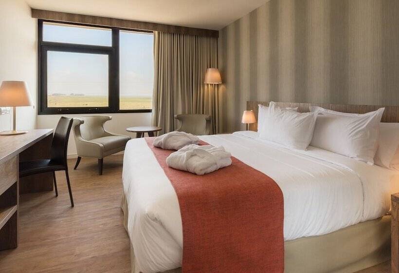 اتاق سوپریور, Salinas Del Almiron Resort Termal