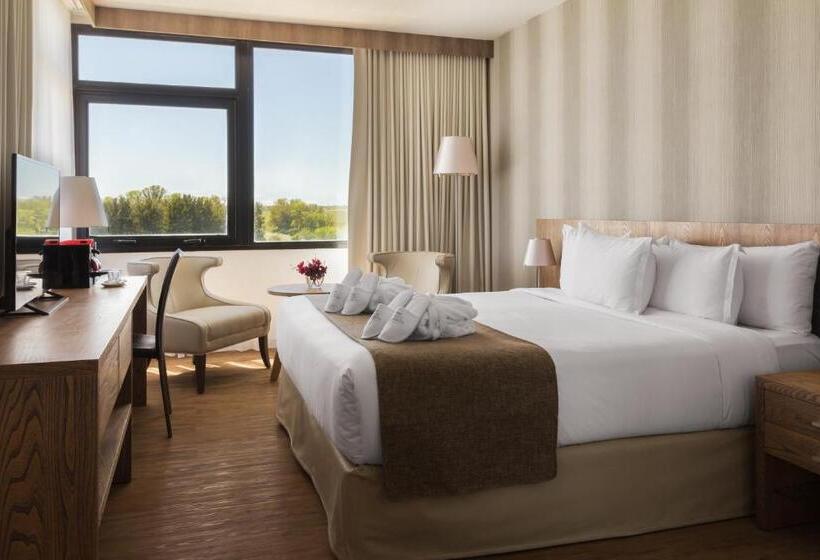 اتاق سوپریور, Salinas Del Almiron Resort Termal