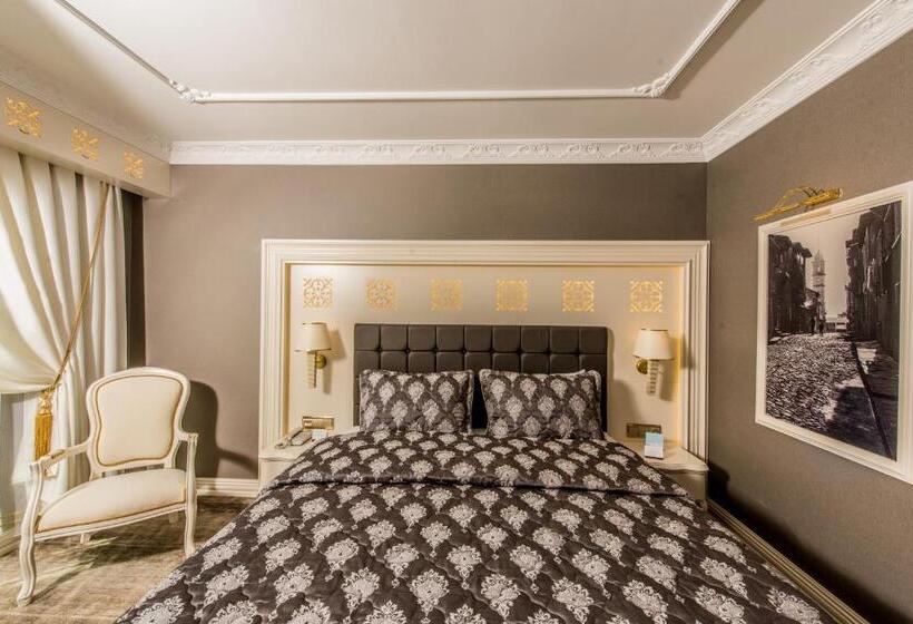 اتاق استاندارد یک تخته برای معلولان, Altın Otel & Spa Balıkesir