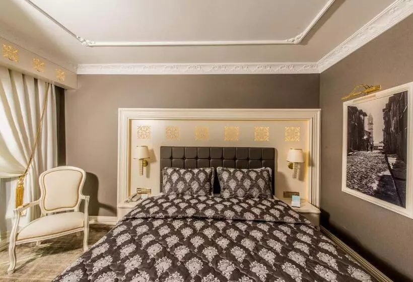 اتاق استاندارد یک تخته برای معلولان, Altın Otel & Spa Balıkesir