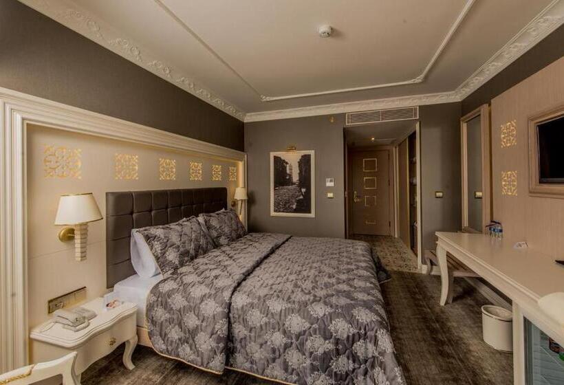 اتاق استاندارد یک تخته برای معلولان, Altın Otel & Spa Balıkesir