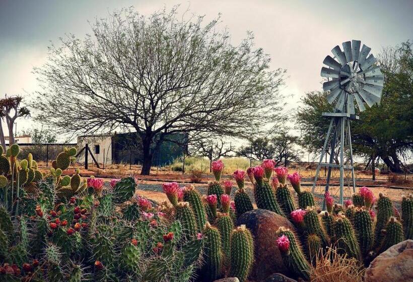 Cameră Standard, Grunau Country