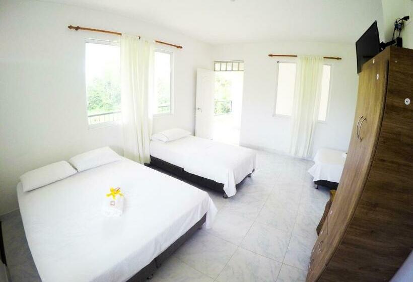 Четырехместный Номер Стандарт, Mastranto