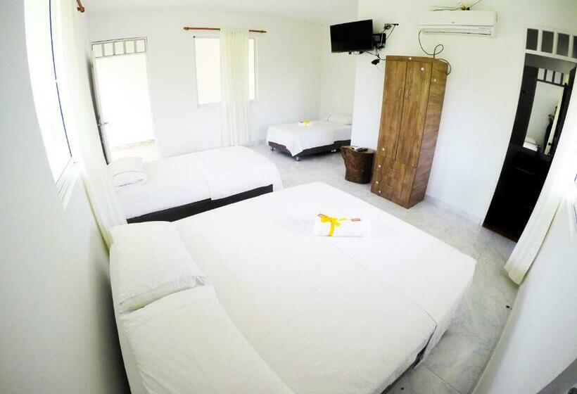 Четырехместный Номер Стандарт, Mastranto