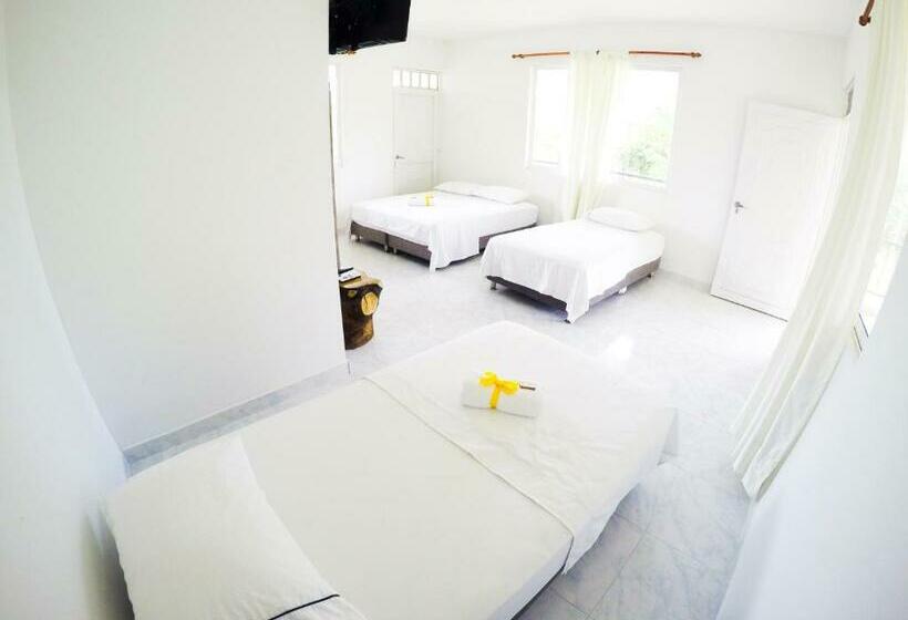 Четырехместный Номер Стандарт, Mastranto