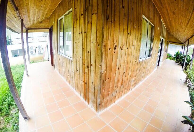 Бунгало Стандарт, Mastranto