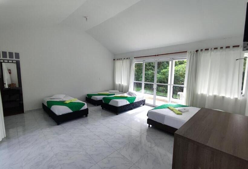 Трехместный Номер Комфорт, Mastranto