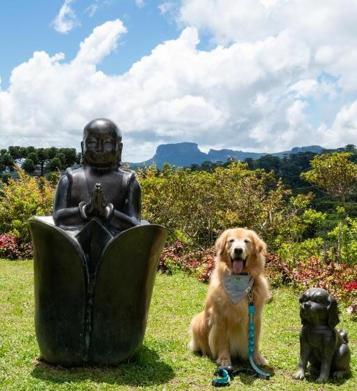 디럭스 스위트, Surya Pan Hotel Refúgio