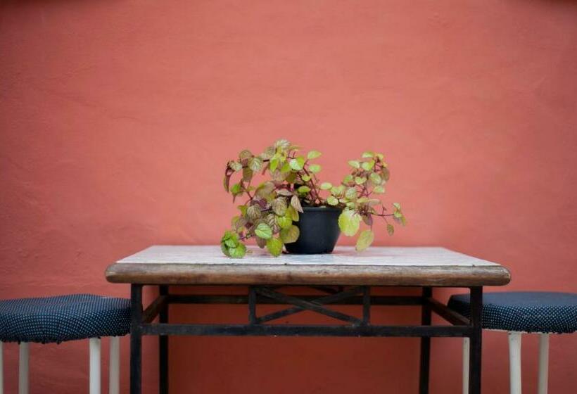 جناح, Suítes Casa Maembippe