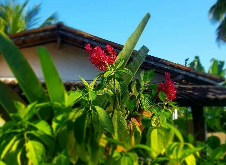 스탠다드 방갈로, Pousada Villages Boutique Hotel   150m Da Praia Da Laje