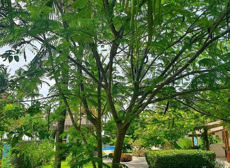 스탠다드 방갈로, Pousada Villages Boutique Hotel   150m Da Praia Da Laje