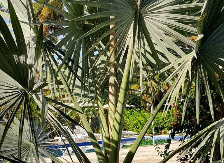 스탠다드 방갈로, Pousada Villages Boutique Hotel   150m Da Praia Da Laje