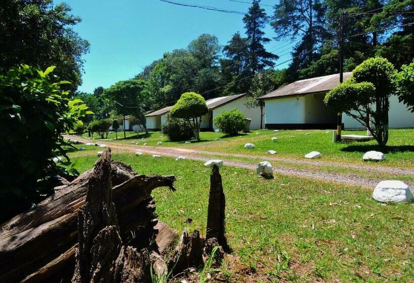 سوییت خانوادگی, Comodoro De Livramento