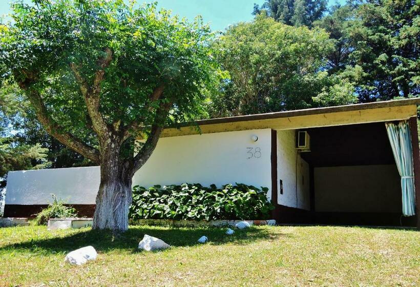 سوییت, Comodoro De Livramento