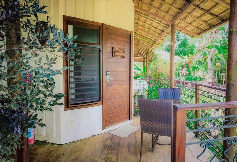 جناح ديلوكس, Vale Das Nuvens