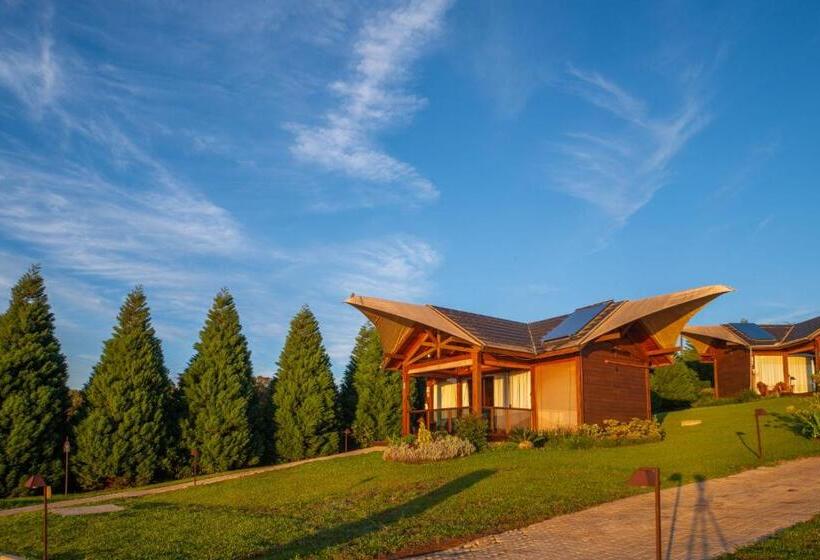 豪华洋房, Divisa Experience Resort