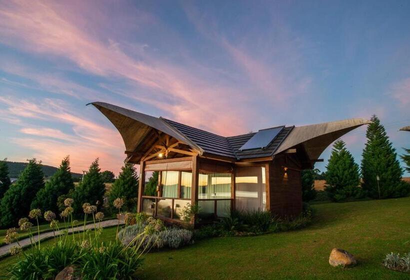 Бунгало Deluxe, Divisa Experience Resort