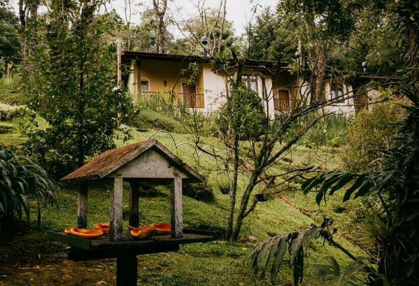 Chalet 1 Chambre, Pousada Amanita Monte Verde