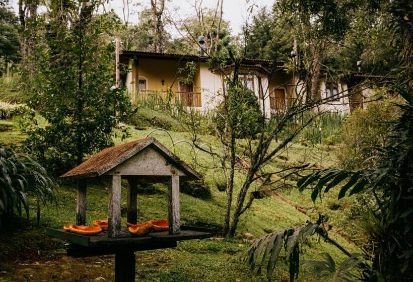 Chalet Deluxe 1 Chambre, Pousada Amanita Monte Verde