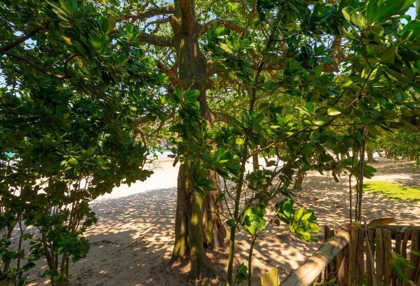 بنجلو قياسى, Pousada Canto Bravo