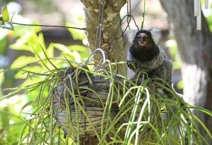 一居室别墅, Pousada Pipa Village