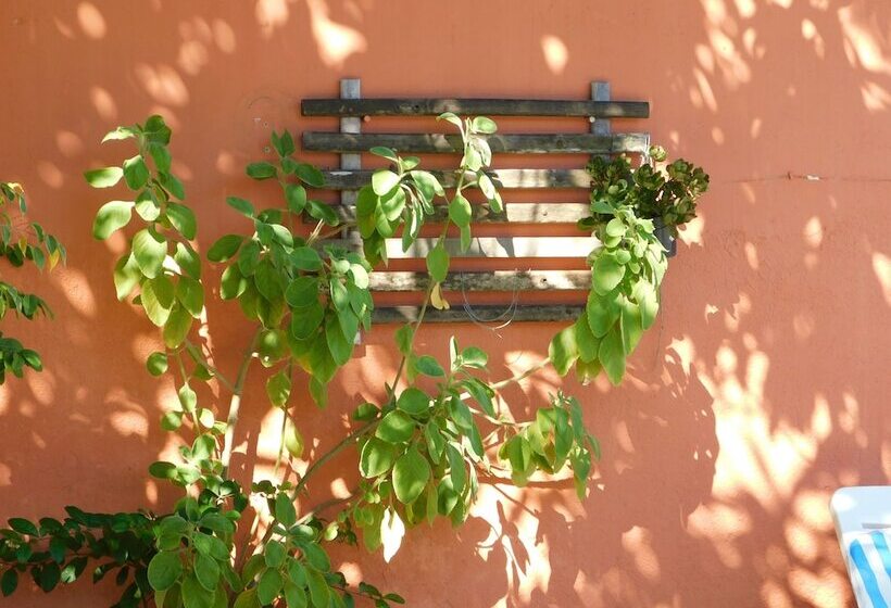 スタンダードルーム, Guest House Orquídea