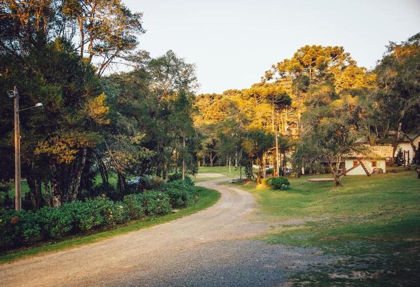 חדר דלוקס, Guanxi