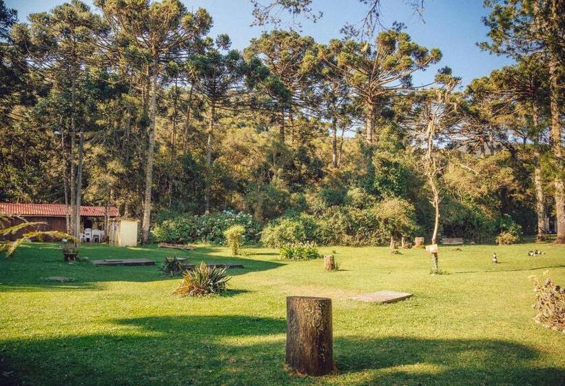 חדר דלוקס, Guanxi