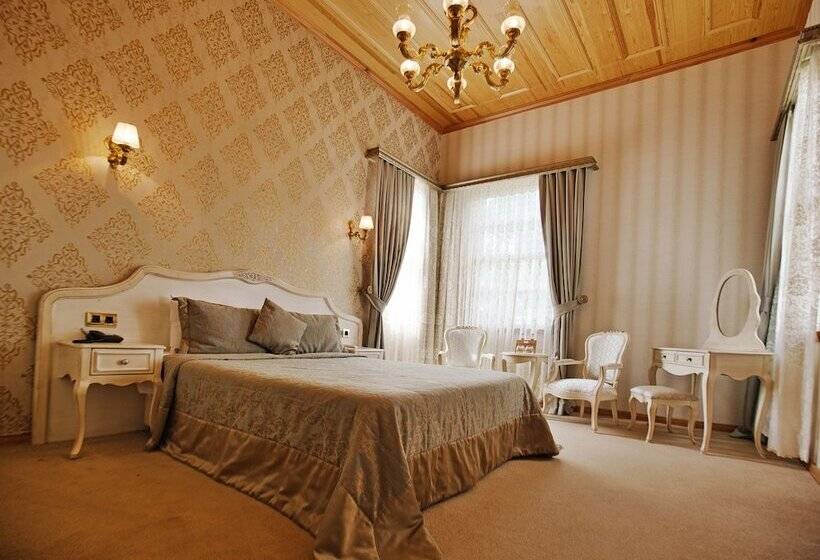 غرفة ديلوكس, Ada Palas Buyukada