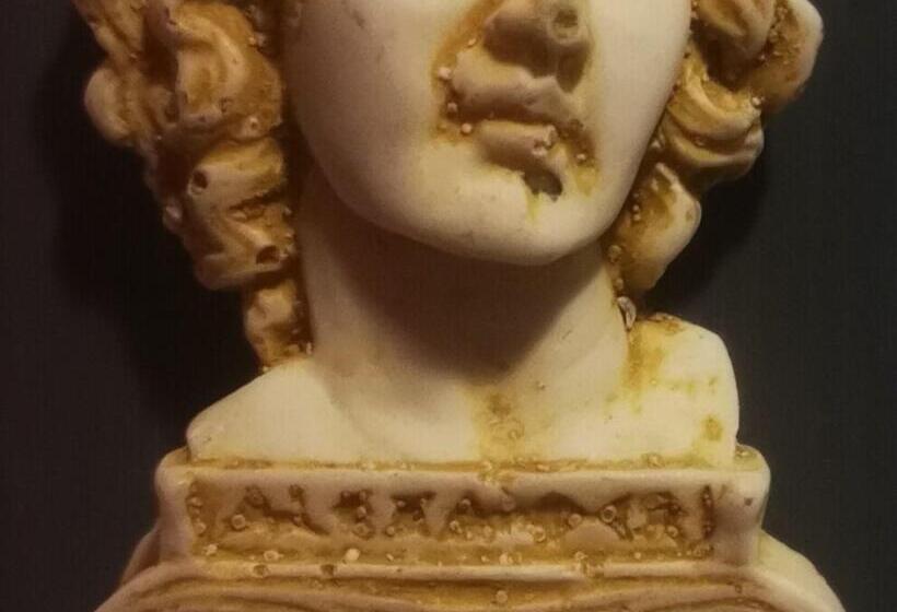 غرفة قياسية فردية, Ador Troia