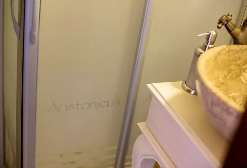 デラックスルーム, Aristonicus Boutique