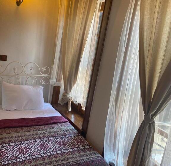 غرفة قياسية, Aristonicus Boutique