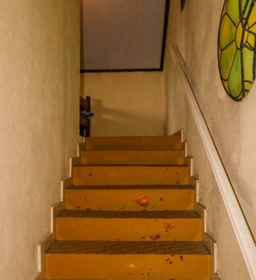 کلبه ییلاقی, Chalés Terra Nova