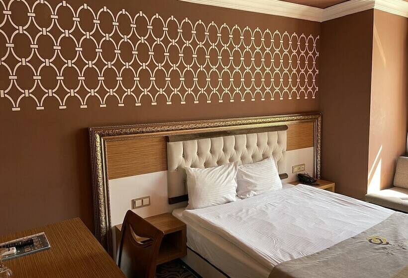 수피리어 싱글 룸, Demosan City Otel
