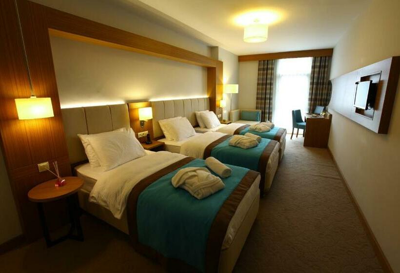 标准三人间, Ela