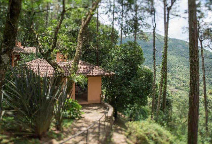 Шале 1 Спальня, Kuriuwa