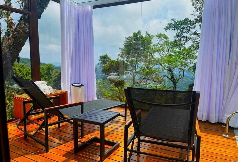 Suíte com Piscina, Kuriuwa