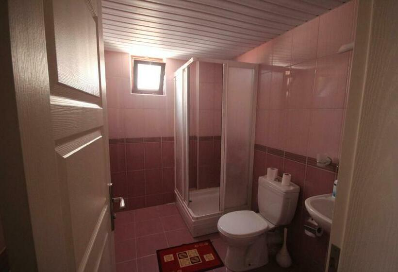 اتاق استاندارد, Munchen Pension
