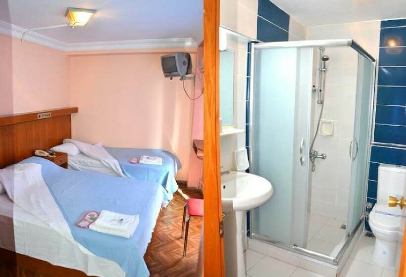 اتاق استاندارد یک نفره, Padova