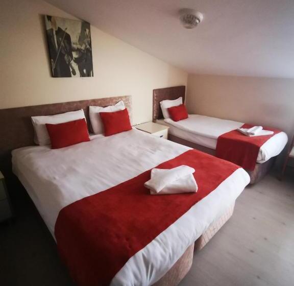 غرفة قياسية ثلاثية, Ador Troia